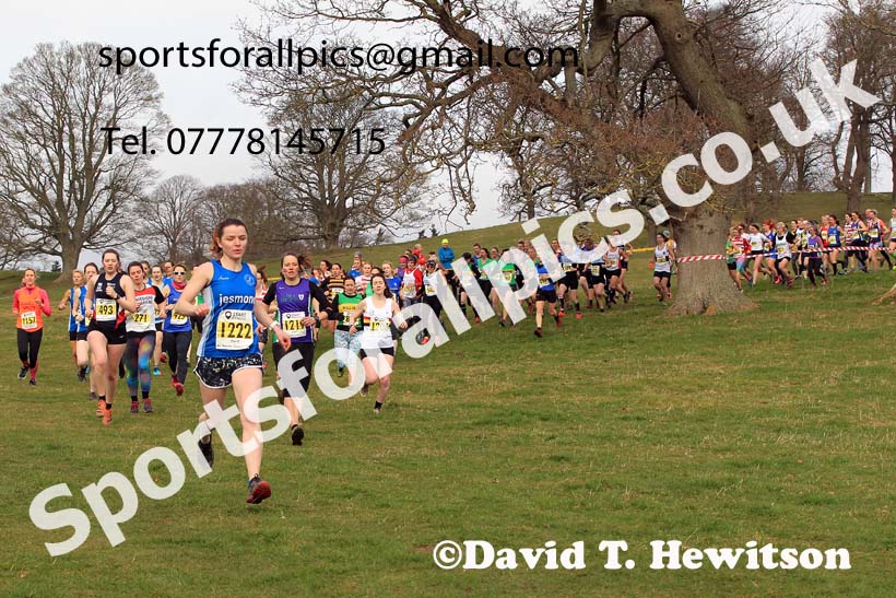 Senior Womens 2023 NEHL, Alnwick, Northumberland. Photo: David T. Hewitson/Sports for All Pics